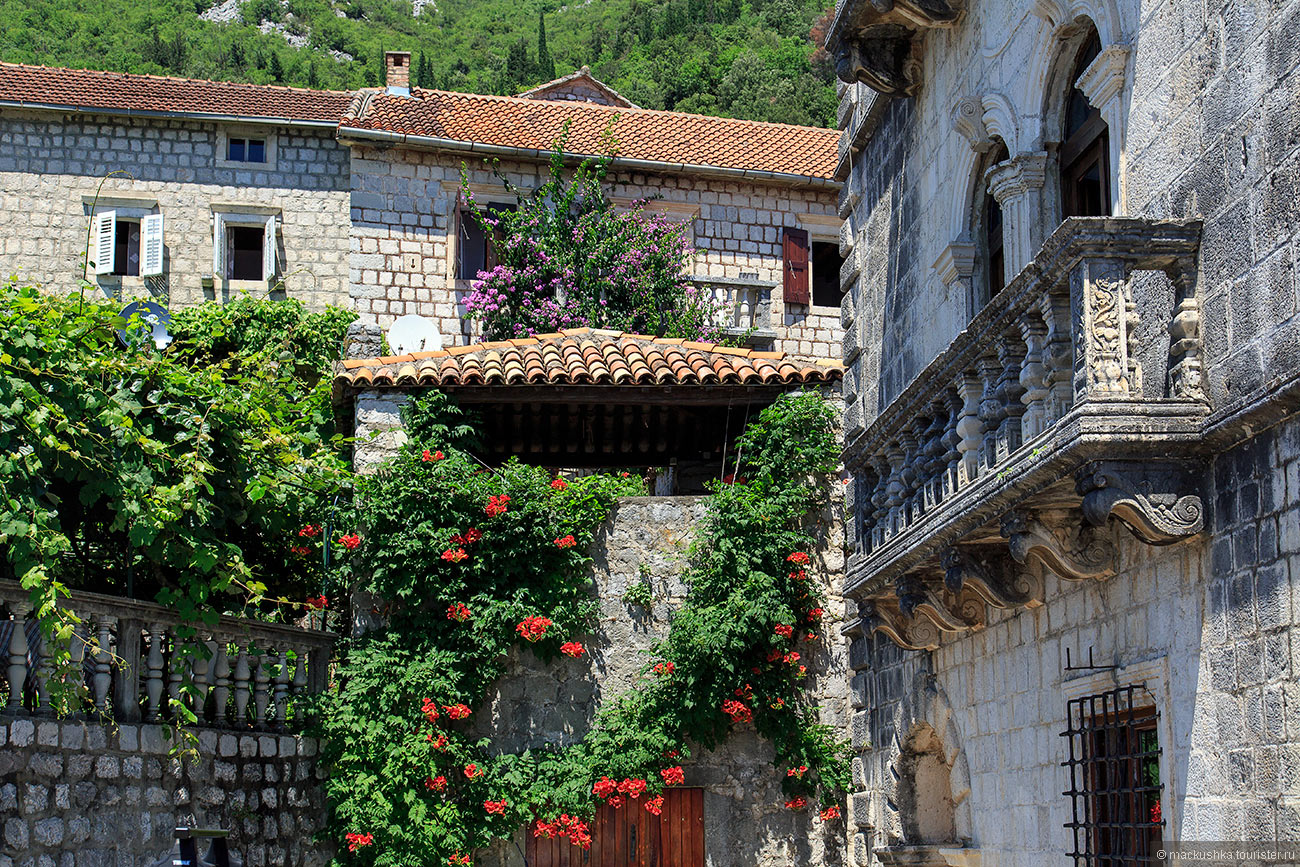 Perast